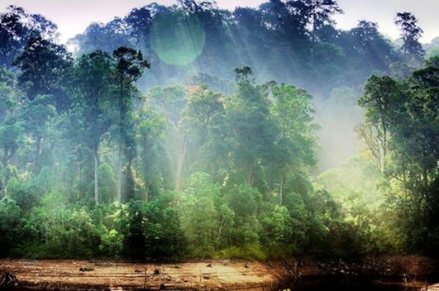 Periyar Wildlife Sanctuary-5